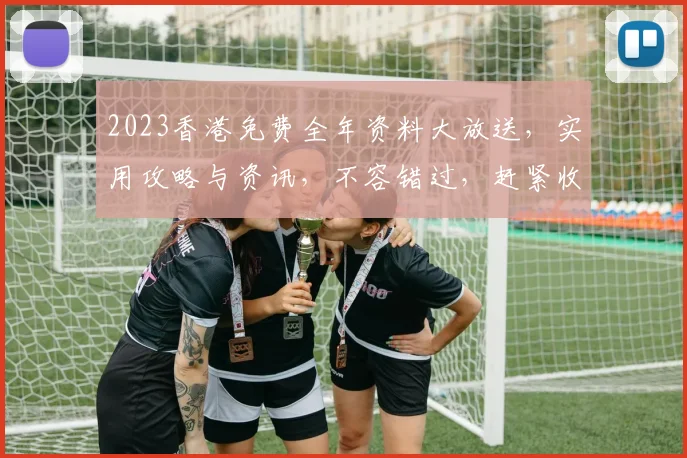 2023香港免费全年资料大放送，实用攻略与资讯，不容错过，赶紧收藏