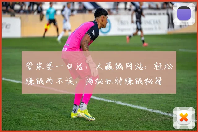 管家婆一句话，大赢钱网站，轻松赚钱两不误，揭秘独特赚钱秘籍