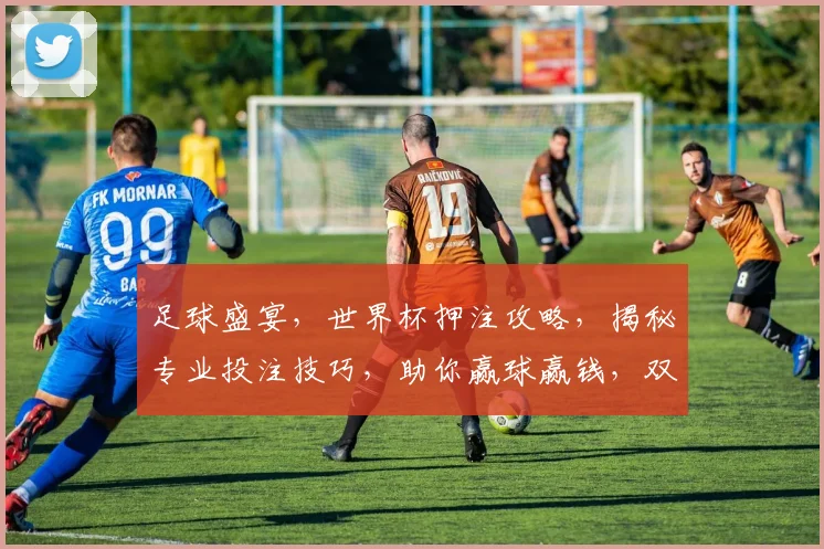 足球盛宴，世界杯押注攻略，揭秘专业投注技巧，助你赢球赢钱，双喜临门